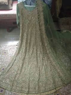 pista color Mexi (Lehnga ) for sale