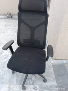 Executive