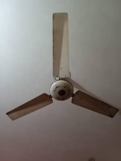 Ceiling Fan