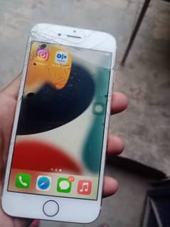 64