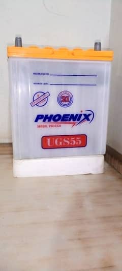 Phoenix