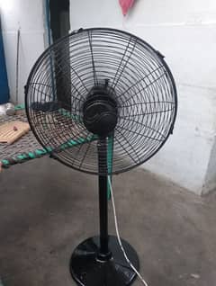 fan
