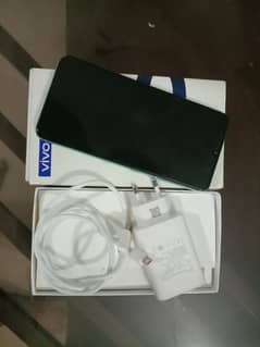 vivo