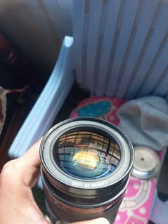 6d markii