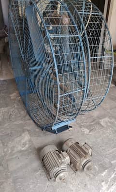 Large Fan