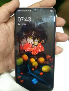 VIVO