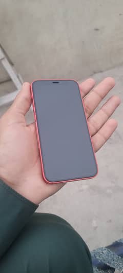iPhone 12 mini all ok Only Mobile