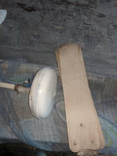 ceiling