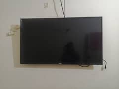 PEL Led 43 inch