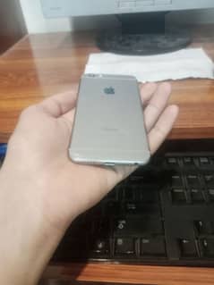iphone 6