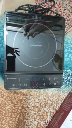 Electric Stove