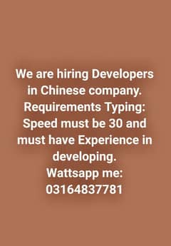 Developer Jobs | Chinese company Jobs