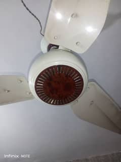 Fan Fan