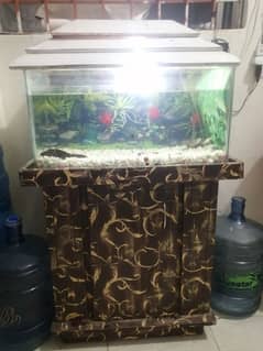 Aquarium