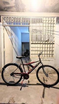 Red and silver 24 inch cycle
