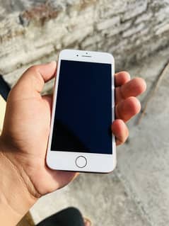 iPhone 8 pta approve