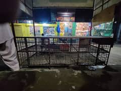 chikan pinjry 2