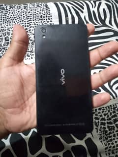 vivo
