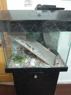 aquarium