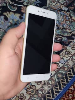 oppo mobile duball sim PTA