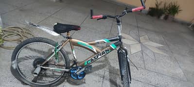 CASPIAN bicycle Large size