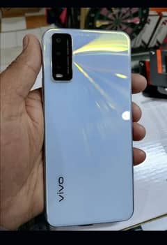 vivo