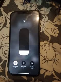 iPhone 12 JV