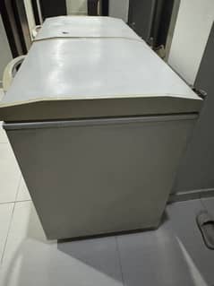 D Freezer Two Door