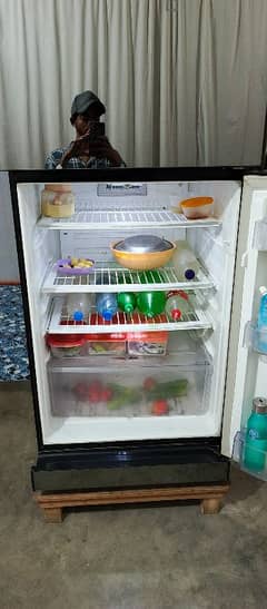 pel refrigerator