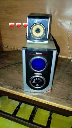 RBIC speaker