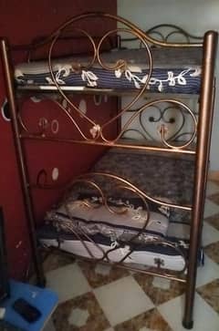 singal beds