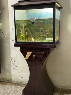 Fish Aquarium