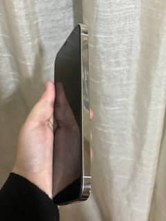 Apple Iphone
