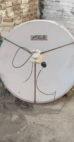 Dish