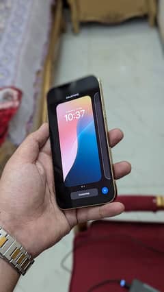 iPhone 13 Pro Max PTA approved