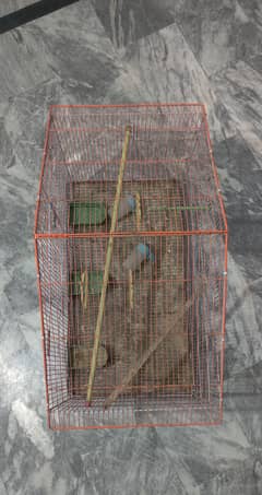 Bird Folding Cage big size