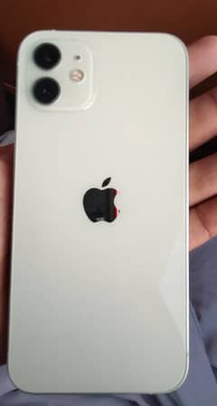 iPhone12