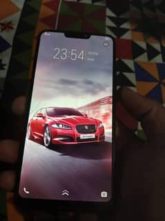 vivo