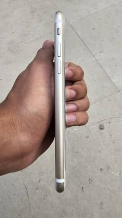 iphone 7 128gb pta approved