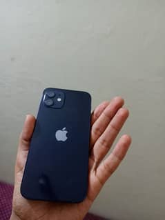 iphone 12 64 GB 10/10 water pack no open