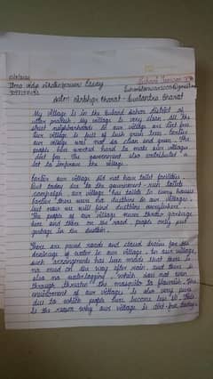 Assignment writing. Content Writing