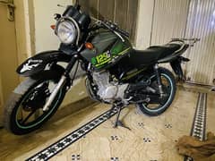 YBR G