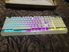 Keyboard Wolf mechanical