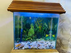 Aquarium Table With Glass Aquarium
