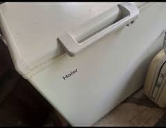 Haier Double Door Freezer