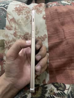 iPhone 7 plus pata approved