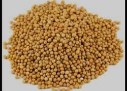 Organic Sarson oil