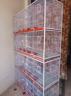 cage pinjry love bird cage
