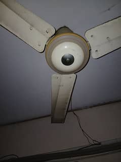 ceiling fan for sale