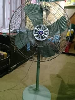 Gold Asia Fan (03064914185) whtsap